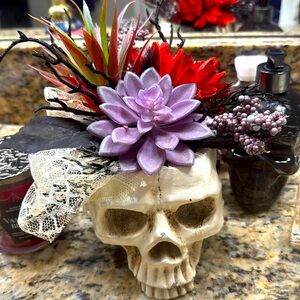 Hallow Skull 💀 artificial succulents